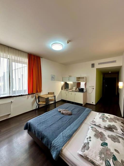 Apartman Priamo Na Hlavnej Ulici Košice Eksteriør bilde